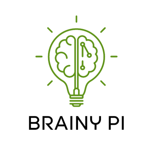 BrainyPi Logo